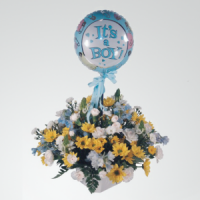Baby Boy Yellow and White Asters with a touch of blue and a Balloon in a Pot