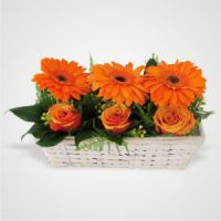 Long Basket of Orange Gerberas aligned with Orange Roses and Greens