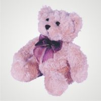 Teddy Bear (Assorted Colours)
