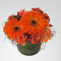 Orange Gerberas and Roses in a Pot