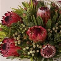 Basket of Proteas and Fynbos