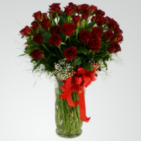 24 Red Roses in a Tall Vase