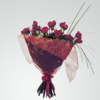 12 Red Roses with Greens wrapped in Red