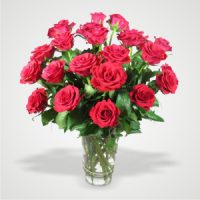 24 Red Roses in Glass Vase