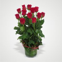 12 Red Roses and Greens in a Vase
