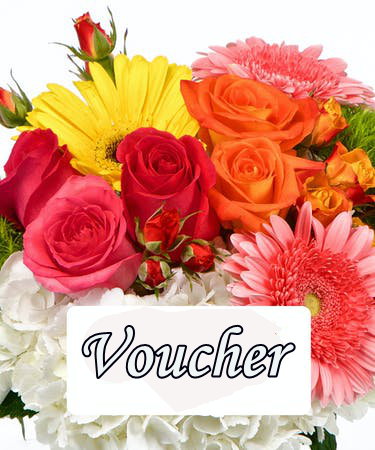 voucher