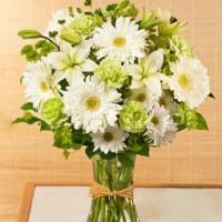 Funeral Sympathy Flowers White Lilies Gerberas and Greens in Vase