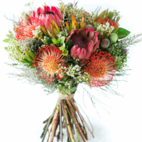Protea and Pincushion Bouquet