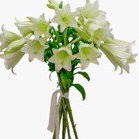 White Lily Bouquet