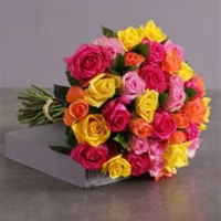 36 Pink Yellow and Lilac Roses