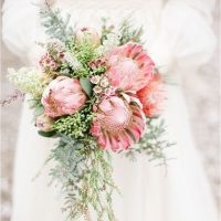 Bridal Flowers Bridal Bouquet of Protea and Wax Flowers