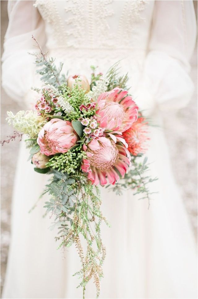 Bridal Bouquet of Protea and Wax Flowers