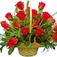 18 Red Roses in a Basket