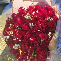 100 Red Roses with Gypsophila Bouquet Wrapped