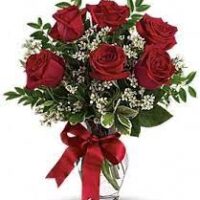 6 Red Roses with Gypsophila in Vase