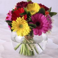 Colourful Gerbers in Small Vase