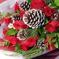 24 Red Roses and fir cones wrapped
